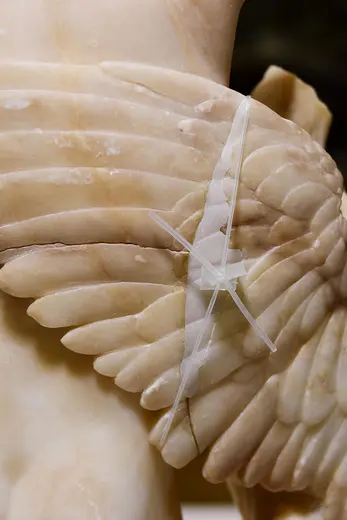 Die Aufnahme zeigt den Flügel einer Skulptur aus Marmor, wobei die Details der Federn deutlich erkennbar sind. Ein transparenter Klebestreifen ist sichtbar, der wahrscheinlich zur Reparatur oder Stabilisierung dient. Der Fokus liegt auf der feinen Textur und der Form des Flügels.
