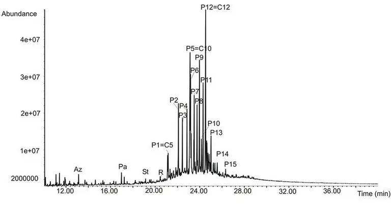 Das Diagramm zeigt einen Chromatogrammverlauf mit der Abundance auf der Y-Achse und der Zeit auf der X-Achse. Deutliche Spitzen sind bei verschiedenen Zeitpunkten zu sehen, die durch nummerierte Punkte (P1 bis P15) gekennzeichnet sind, was auf verschiedene Komponenten hinweist.