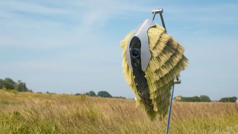 Eine futuristische, vogelähnliche Skulptur steht auf einem Ständer in einem weiten Feld. Das Kunstwerk hat eine graue, metallische Rückseite und ist mit einem gefiederten, blattartigen Material bedeckt, das grünlich und braun ist. Der Himmel ist blau mit einigen Wolken.
