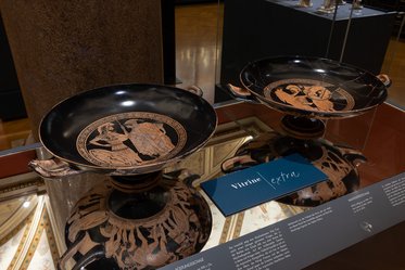 Zwei antike griechische Schalen stehen in einer Vitrine. Eine Schale zeigt eine Darstellung eines Kriegers, während die andere mit mythologischen Figuren verziert ist. Neben ihnen befindet sich ein Informationsschild mit dem Titel „Vitrine“. Der Hintergrund zeigt eine elegante Museumseinrichtung.