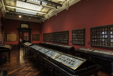 Das Bild zeigt einen Ausstellungsraum mit Vitrinen, die viele historische Foto- und Münzsammlungen präsentieren. Die Wände sind rot gestrichen, und die Holzfußböden sind parkettiert. Das Licht fällt durch eine große, dekorative Decke und schafft eine einladende Atmosphäre für Besucher.