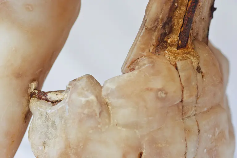 Eine detailreiche Nahaufnahme eines mineralischen Materials, das eine unregelmäßige, beige Oberfläche zeigt. Die Struktur hat natürliche Risse und eine organische Form, die an einen Teil eines natürlichen Objekts erinnert.