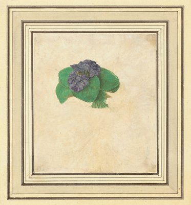 Ein Violettblütenstrauß mit grünen Blättern auf einem neutralen Hintergrund. Die Blüten sind in verschiedenen Violetttönen gehalten, umgeben von herzförmigen Blättern.