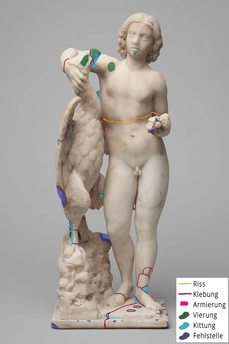 Eine weiße Marmorstatue zeigt einen nackten jungen Mann, der einen Schwann an seiner Seite hält. Er hat lockiges Haar und hält in der anderen Hand Trauben. Die Statue ist mit farbigen Linien markiert, die verschiedene Risse und Reparaturen anzeigen.