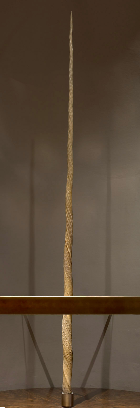 Das "Ainkhürn" (Einhorn)