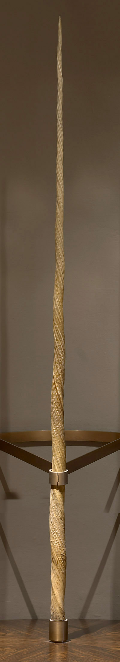 Das "Ainkhürn" (Einhorn)