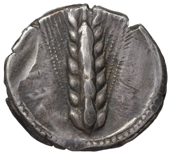 Metapont