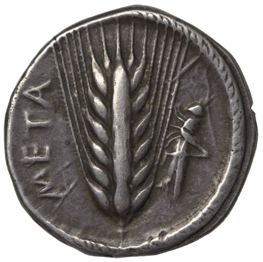Metapont