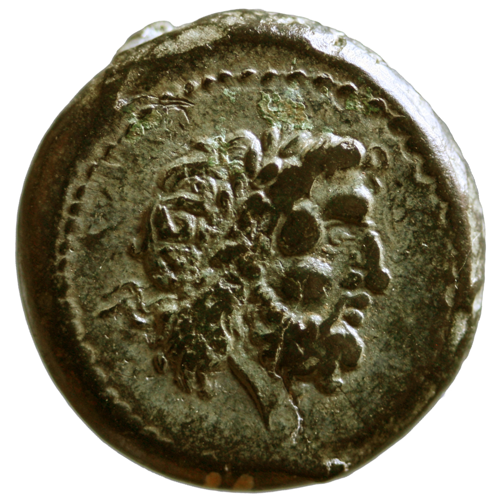 Poseidonia