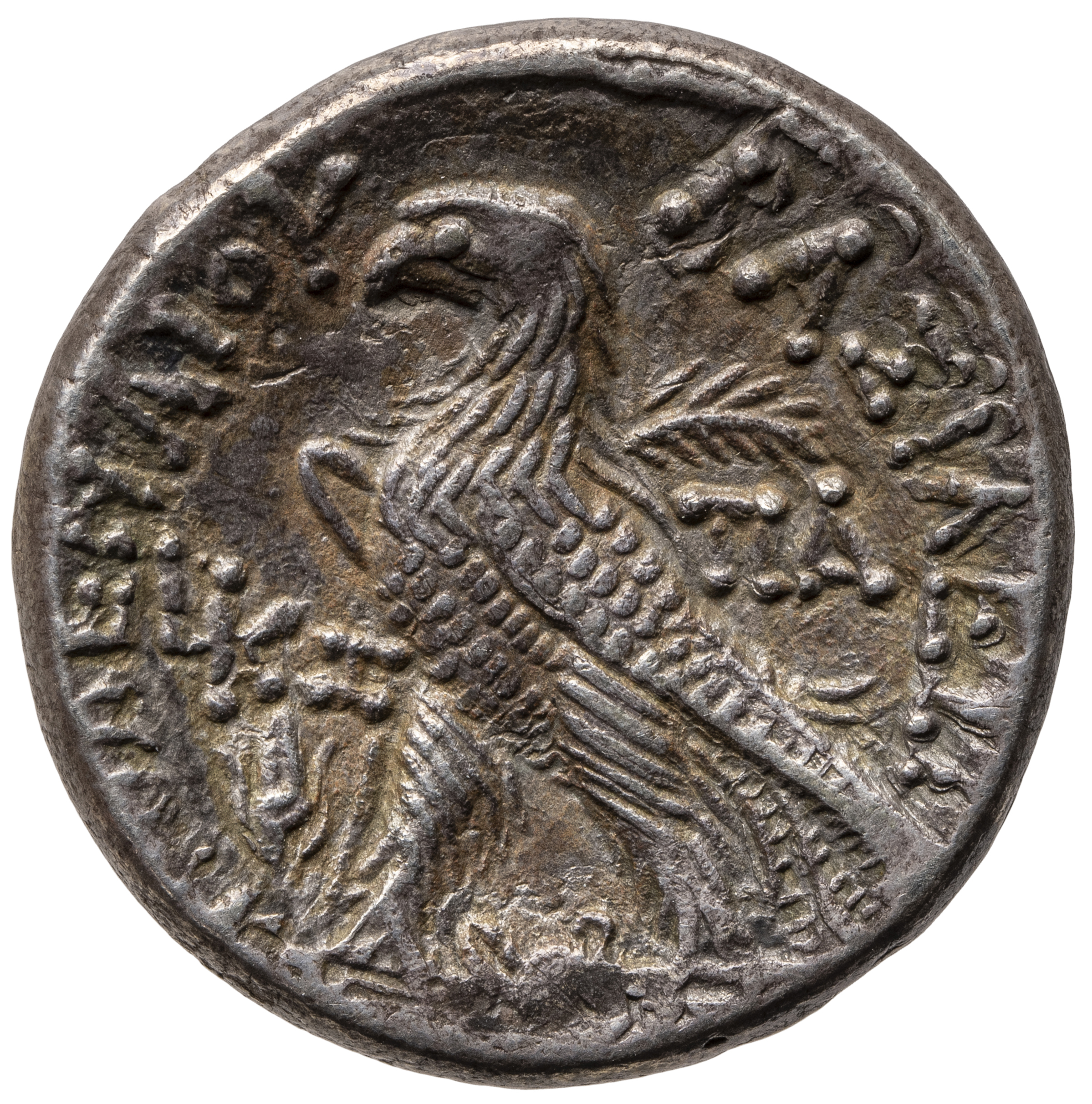 Ptolemäer: Ptolemaios XII.