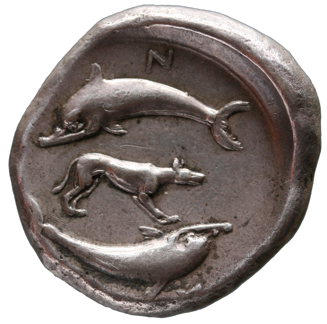 Argos