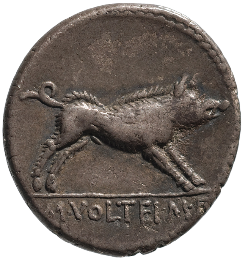 Röm. Republik: M. Volteius
