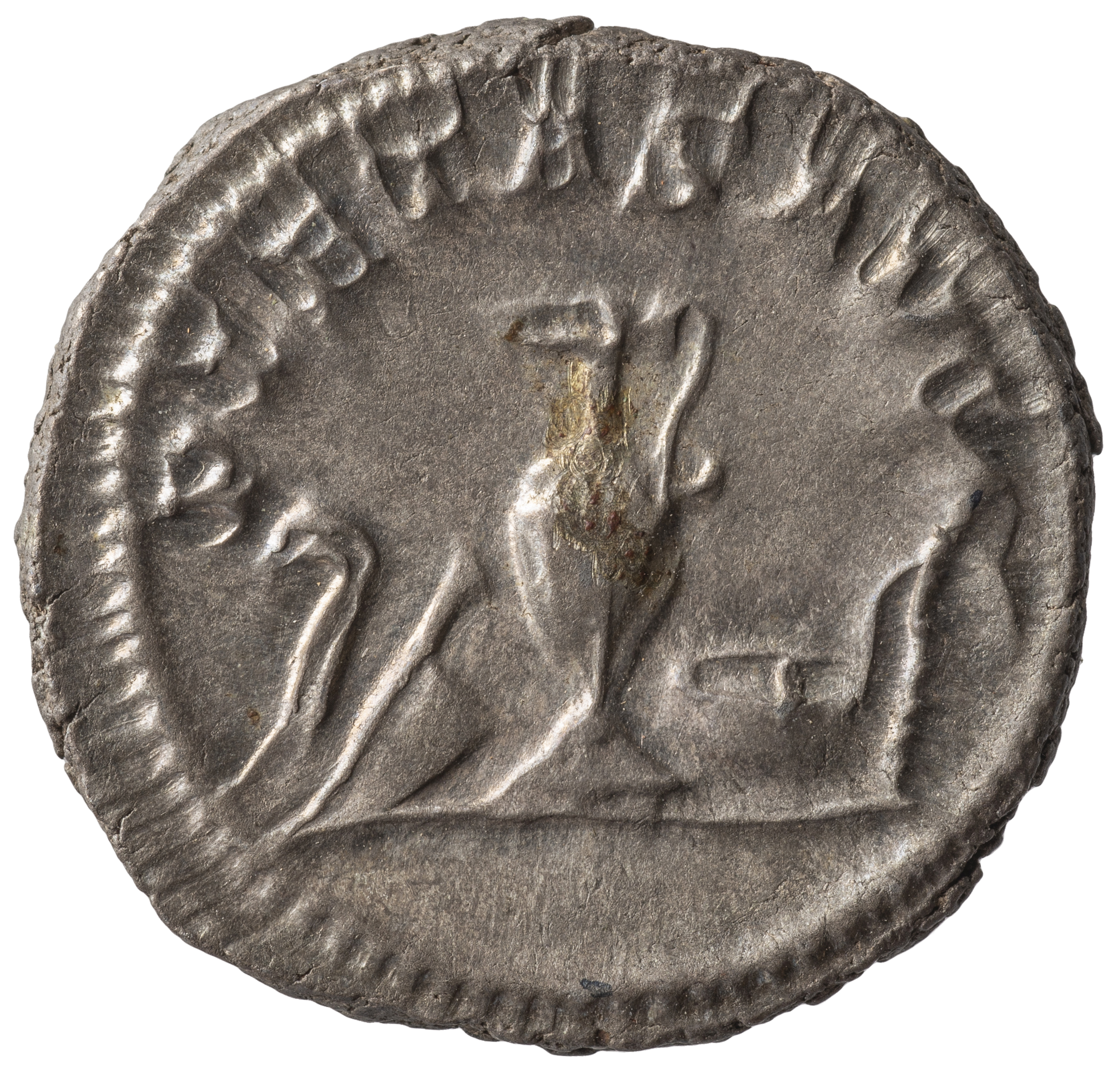 Maximinus I. (Thrax) für Maximus