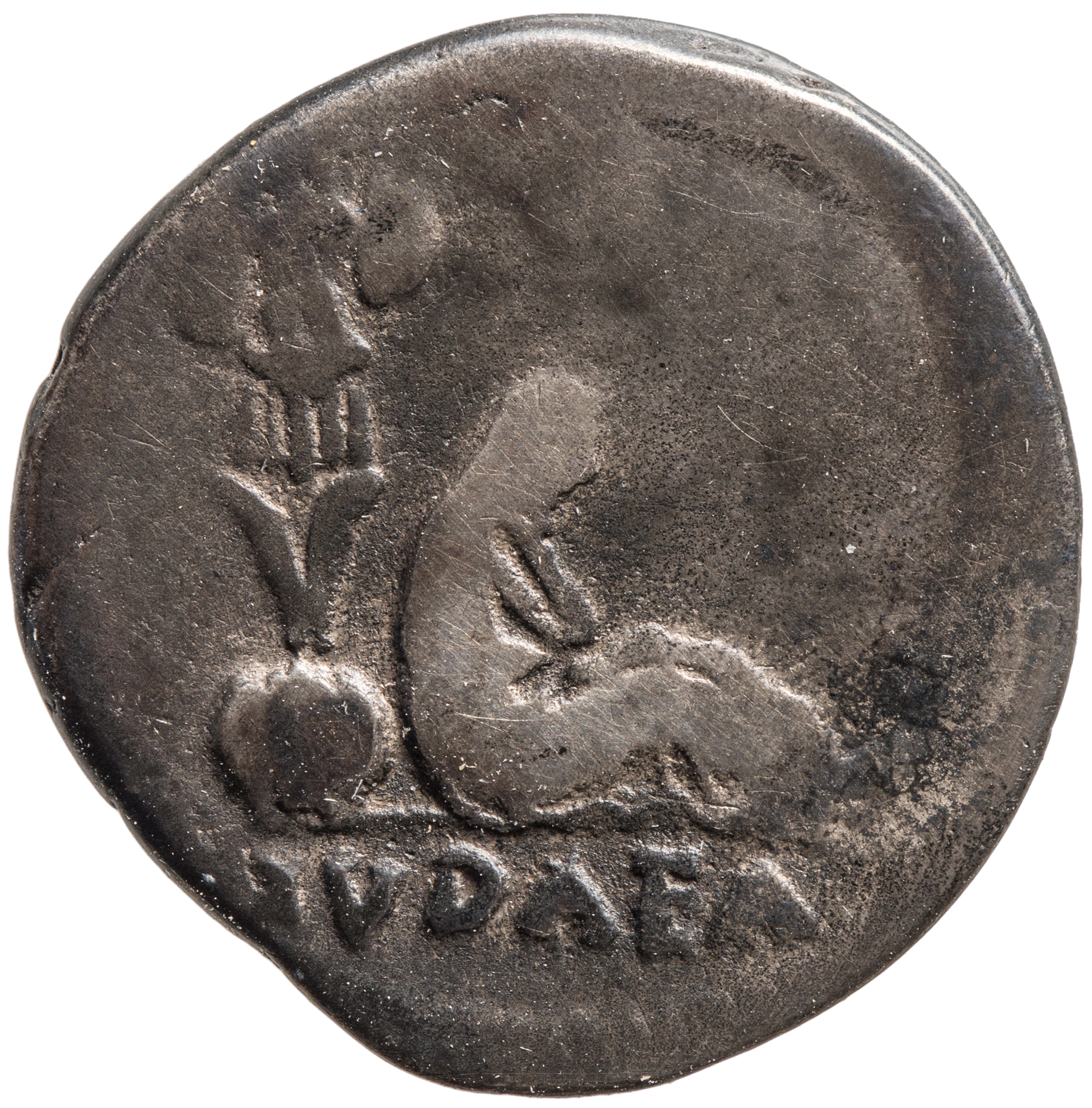 Vespasianus