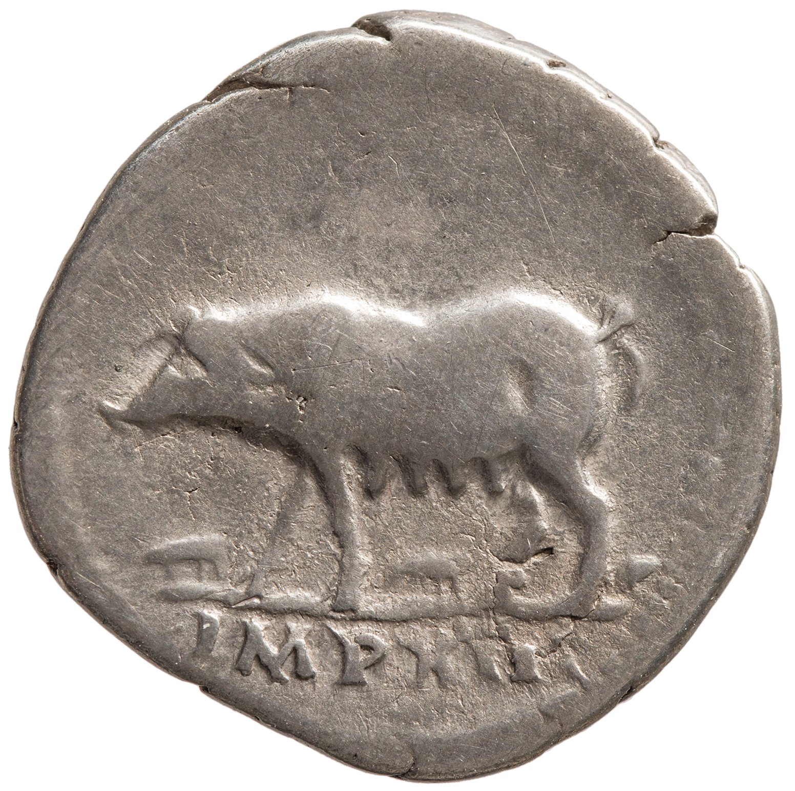 Vespasianus für Titus