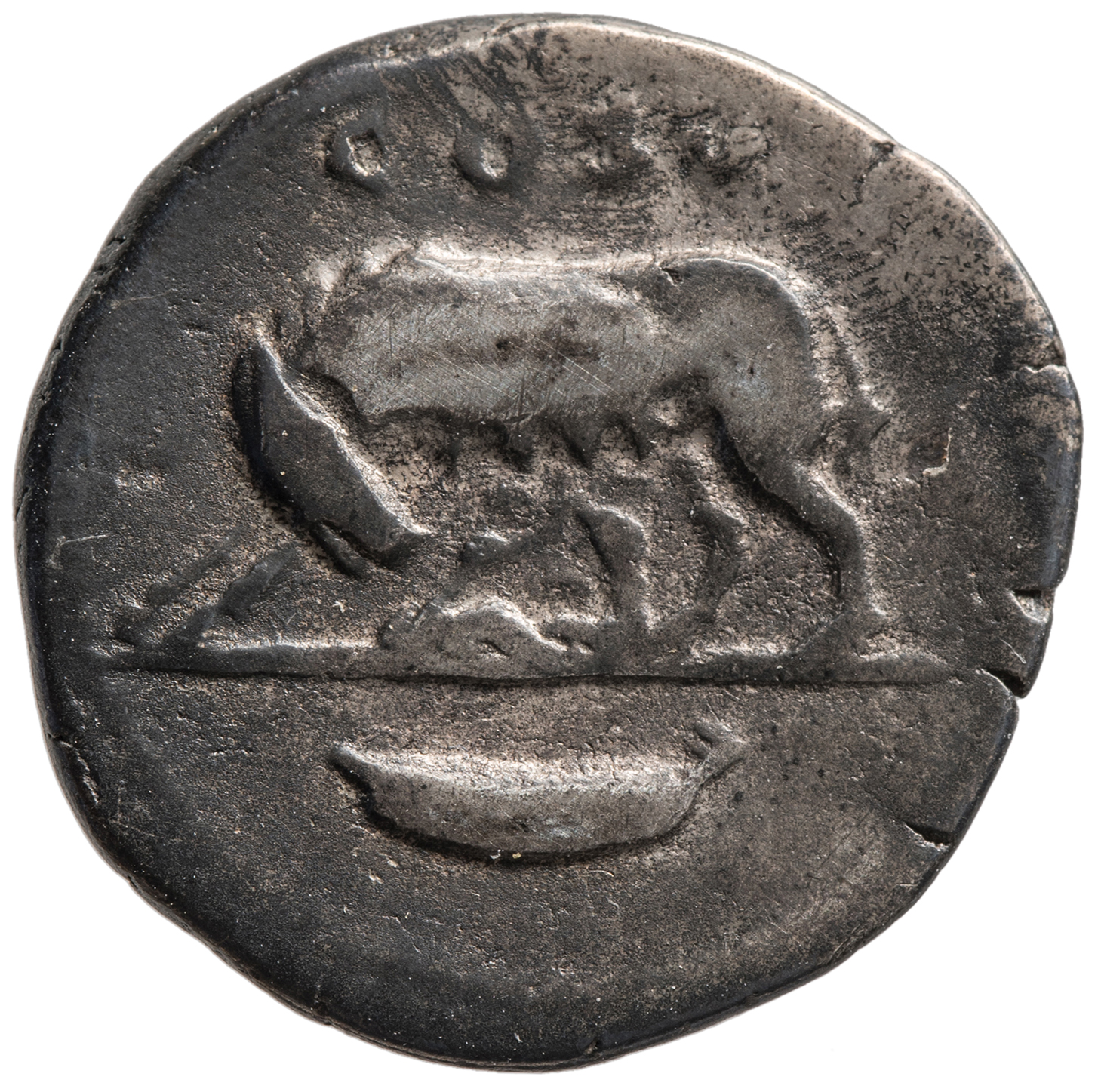 Vespasianus für Domitianus