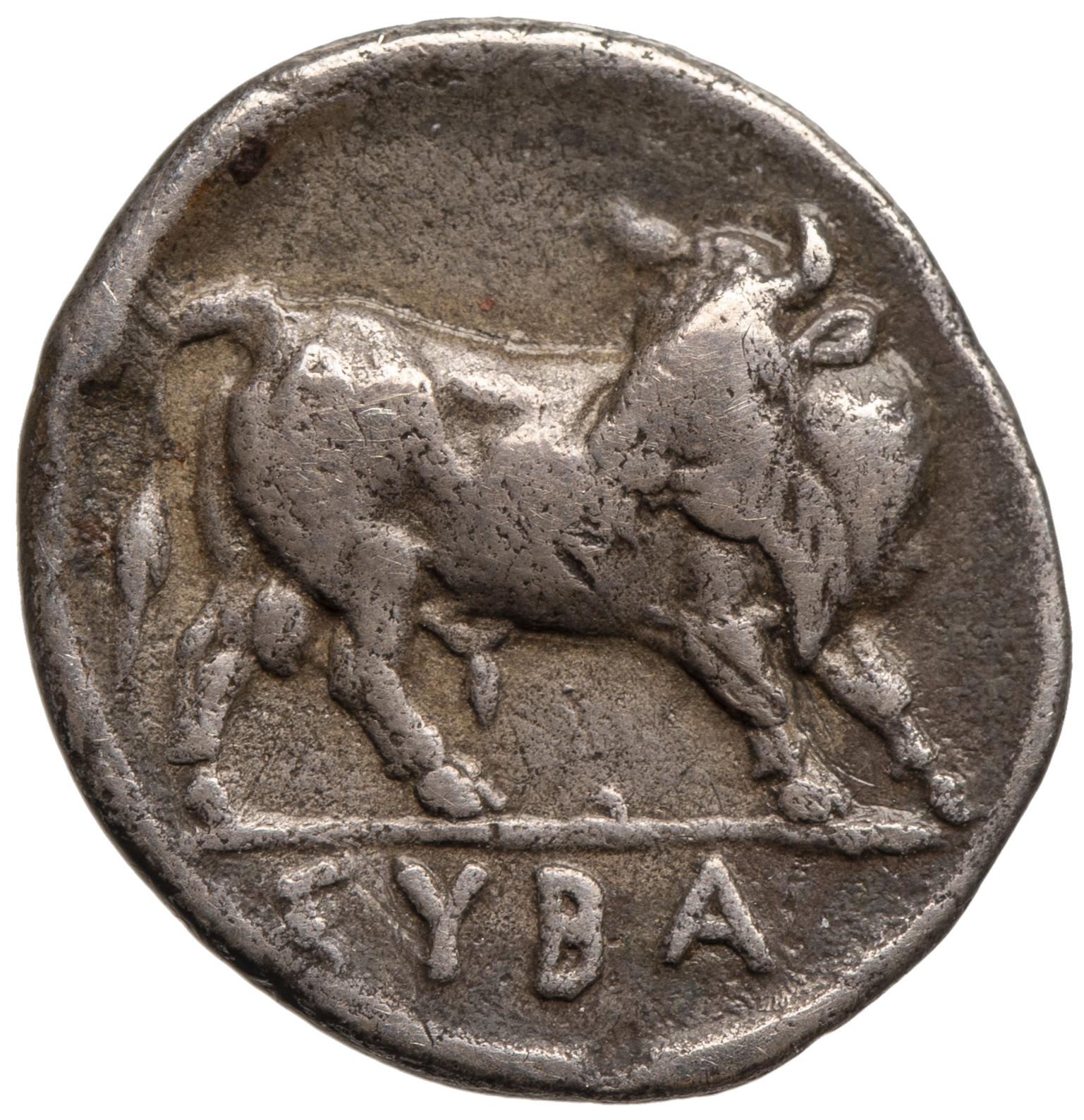 Sybaris