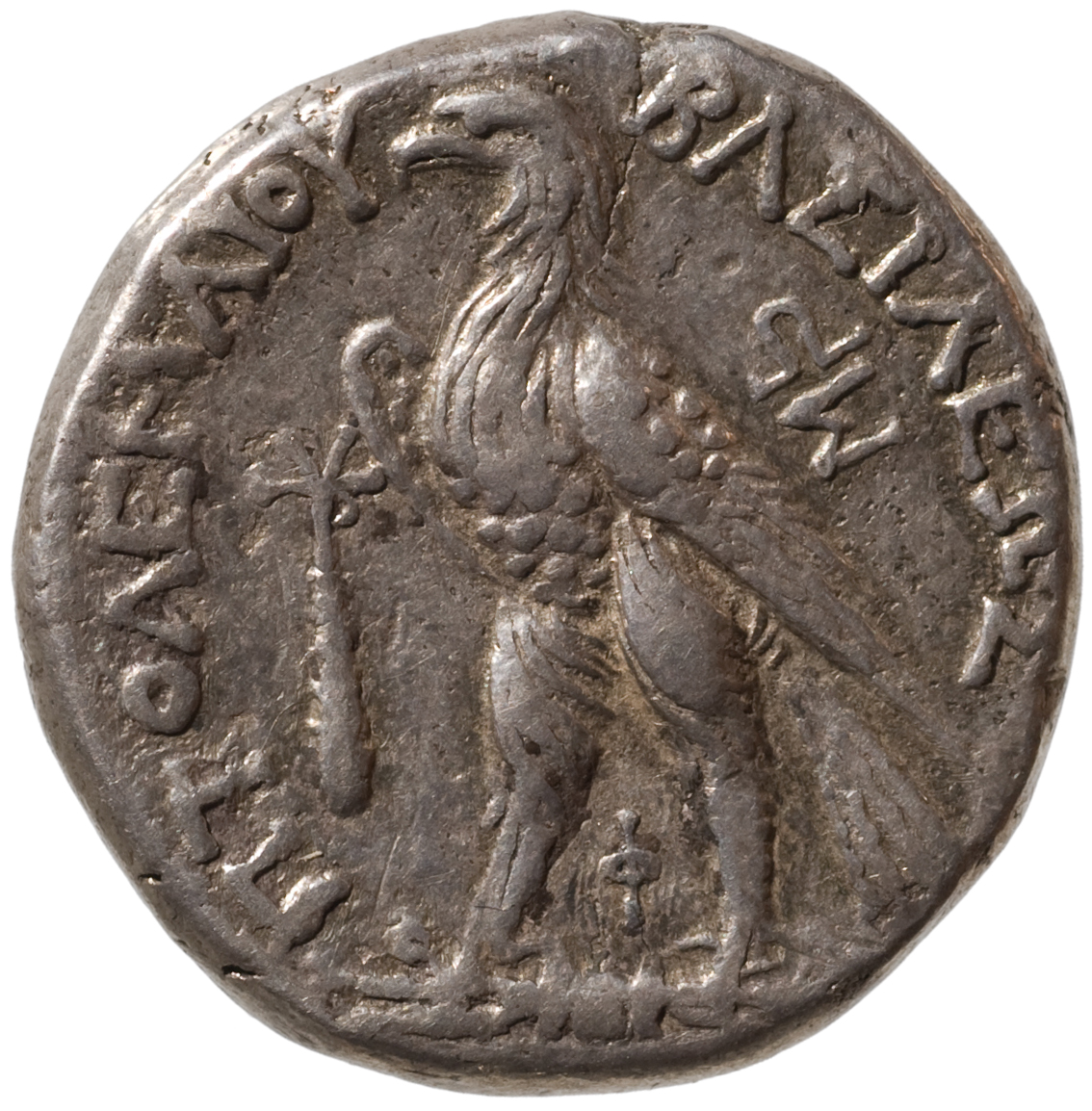 Ptolemäer: Ptolemaios IV.