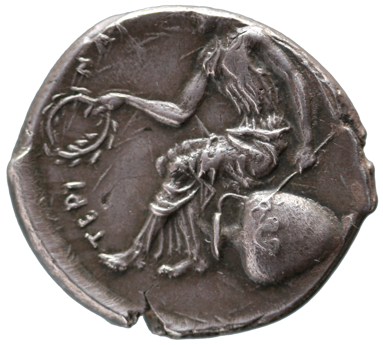 Terina