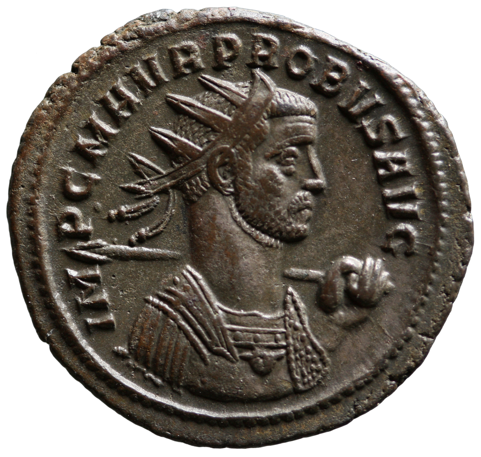 Probus
