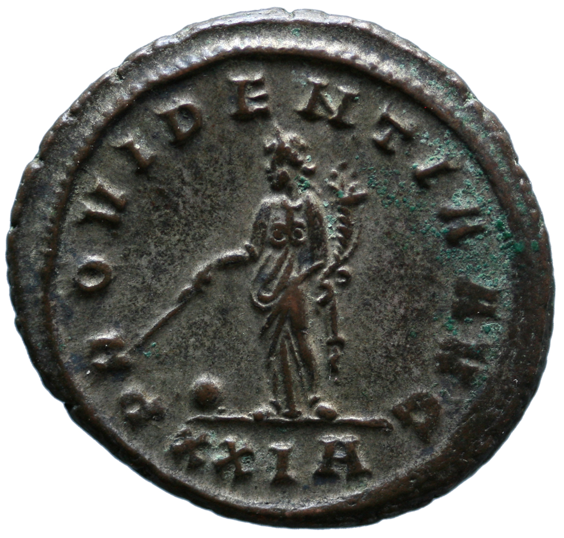 Probus