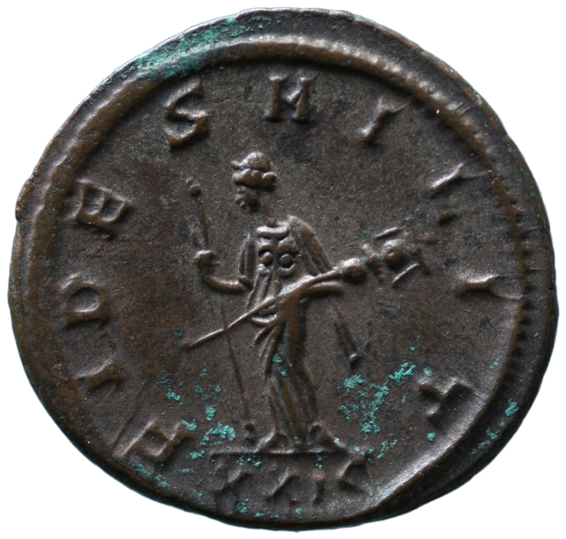 Probus