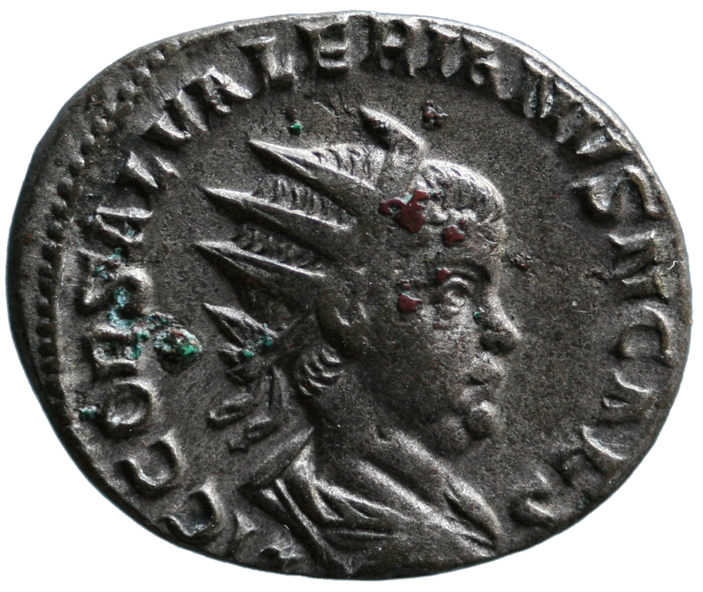 Saloninus