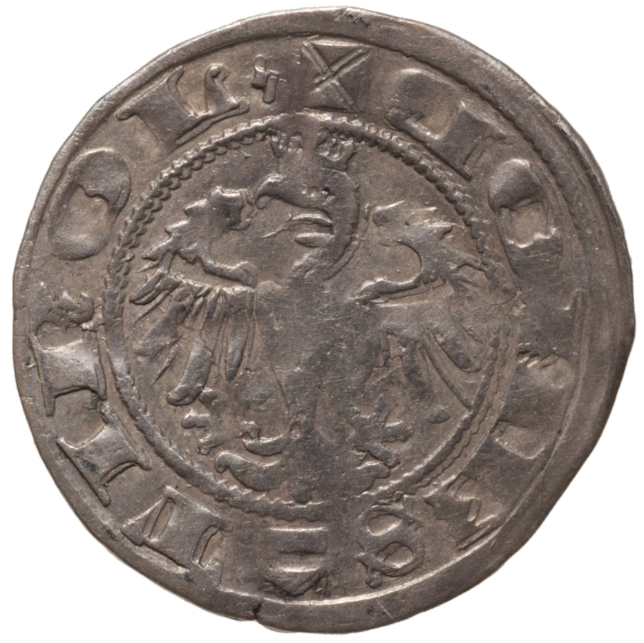 Grafen von Tirol: Sigismund (1439–1496)