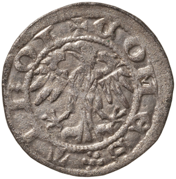 Grafen von Tirol: Sigismund (1439–1496)