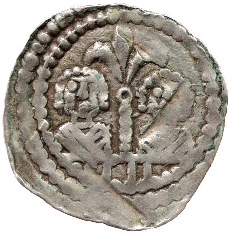 Herzöge von Kärnten / Herren von Krain: Bernhard (1202–1256)