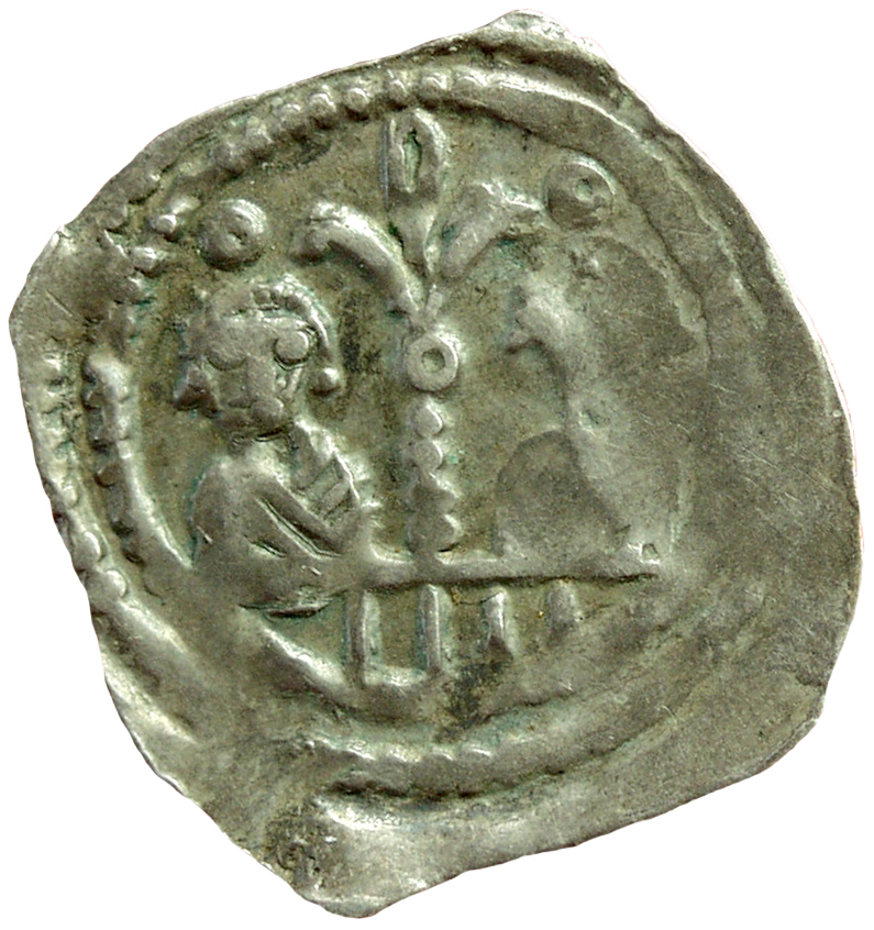 Herzöge von Kärnten / Herren von Krain: Bernhard (1202–1256)