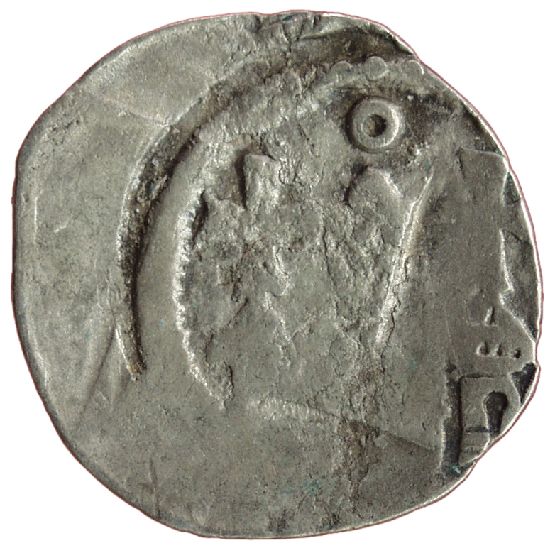 Herzöge von Kärnten / Herren von Krain: Bernhard (1202–1256)