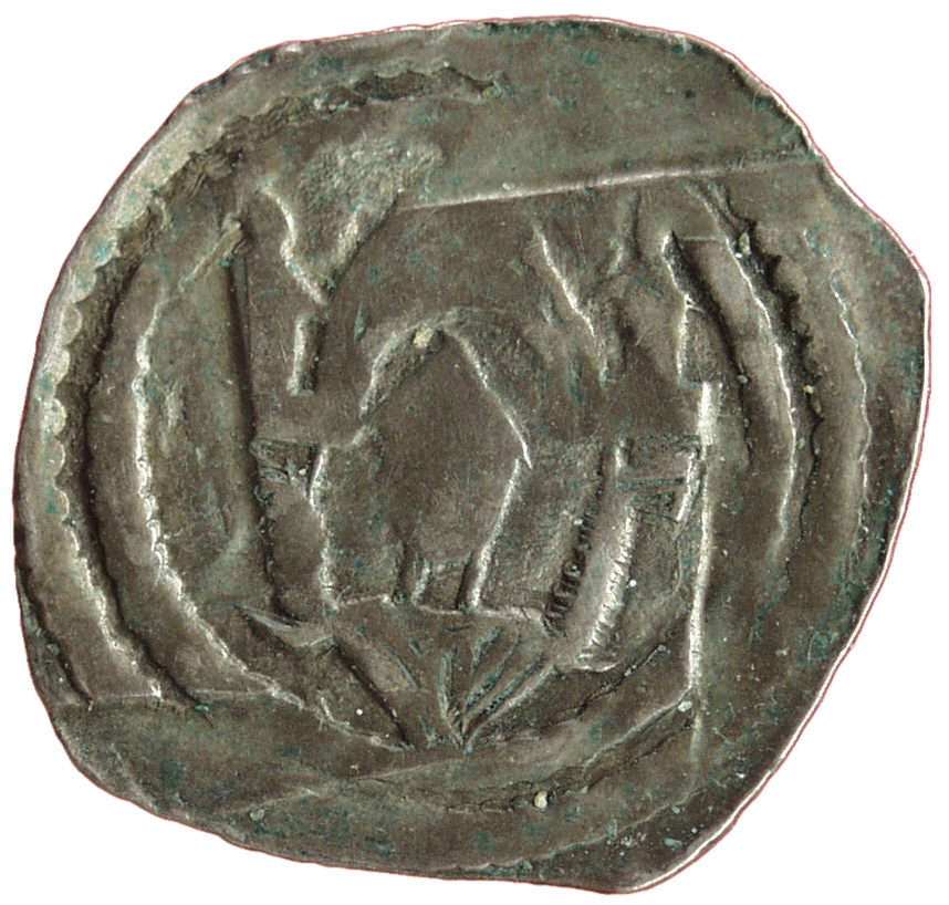 Herzöge von Kärnten / Herren von Krain: Bernhard (1202–1256)