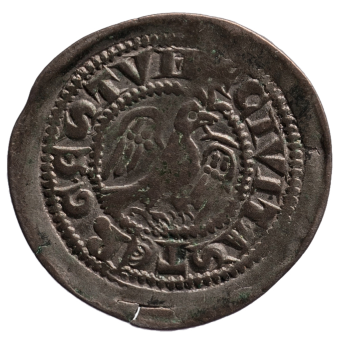 Bischöfe von Triest: Arlongus (1254–1280)