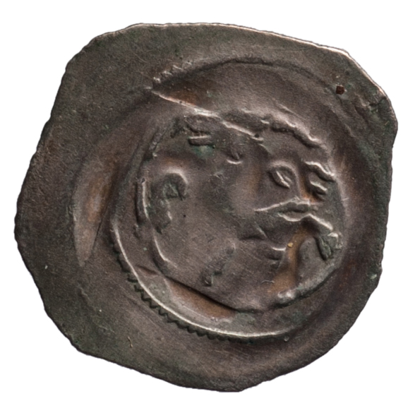 Herzöge von Österreich: Rudolf I. (1276–1282)