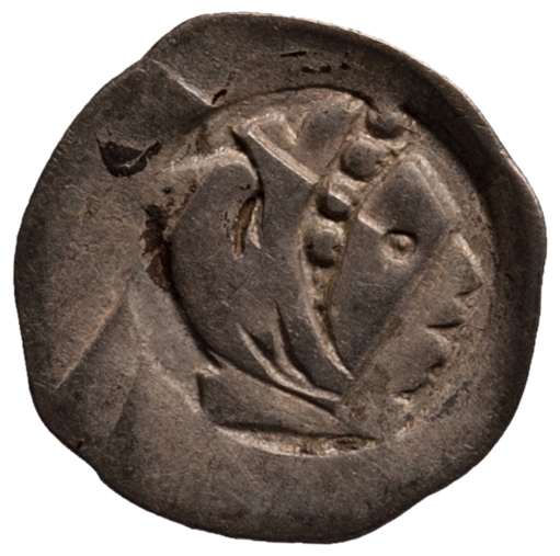 Herzöge von Österreich: Friedrich III., der Schöne (1306/1314–1330)