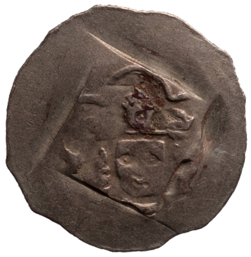 Herzöge von Österreich: Friedrich III., der Schöne (1306/1314–1330)