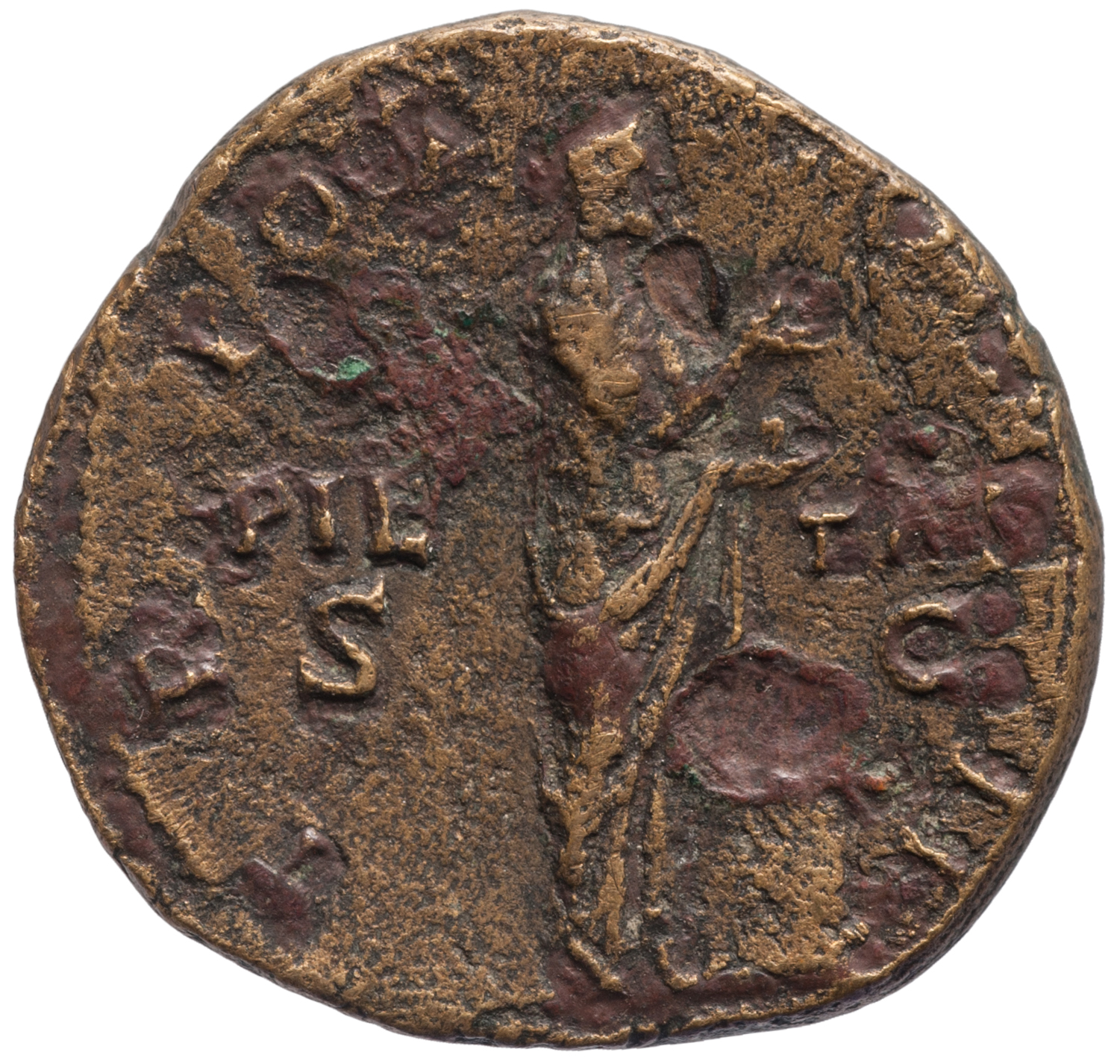 Lucius Aelius