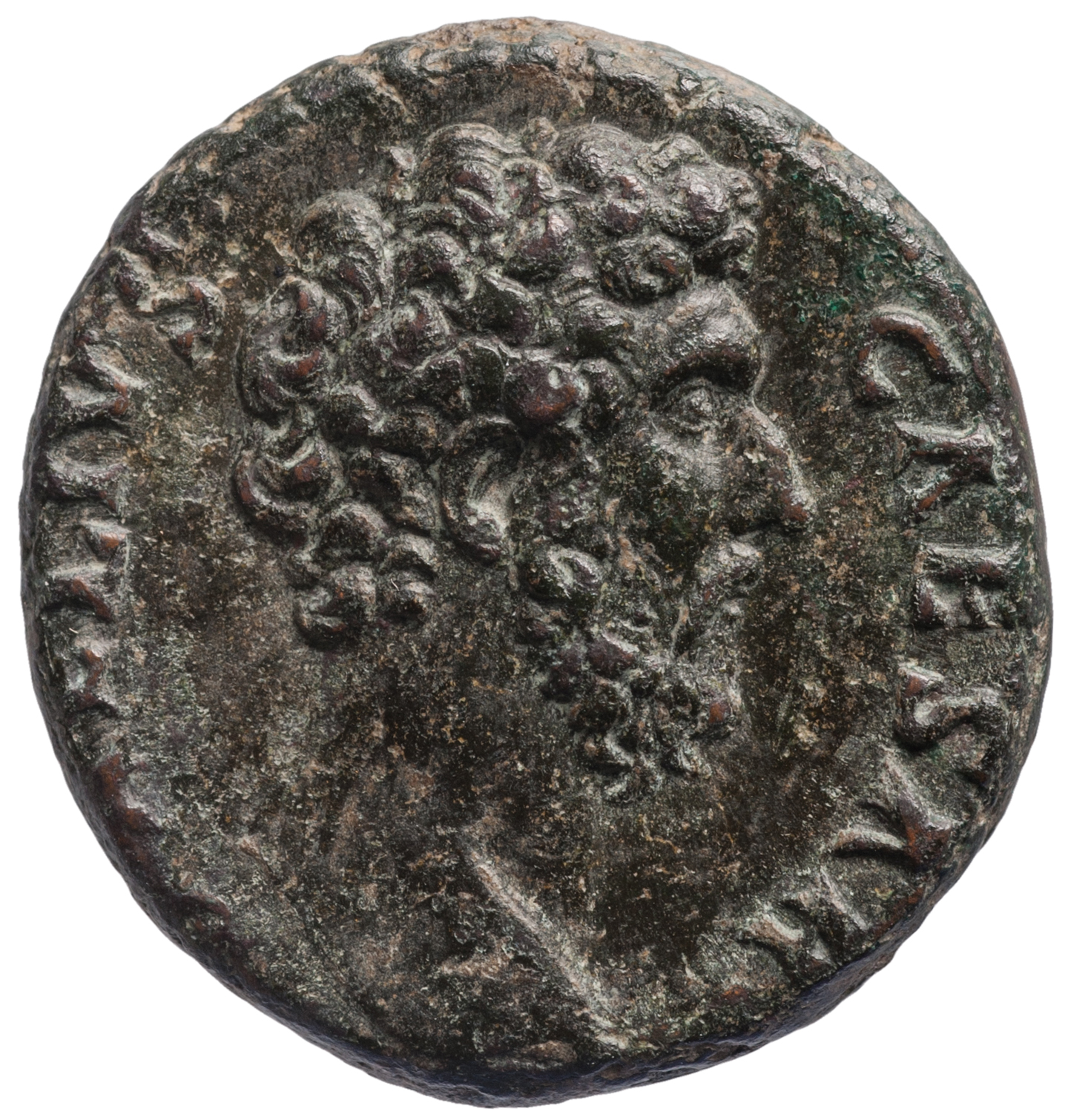 Lucius Aelius