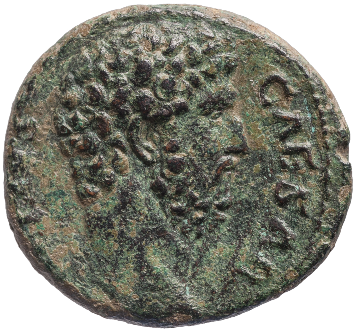 Lucius Aelius