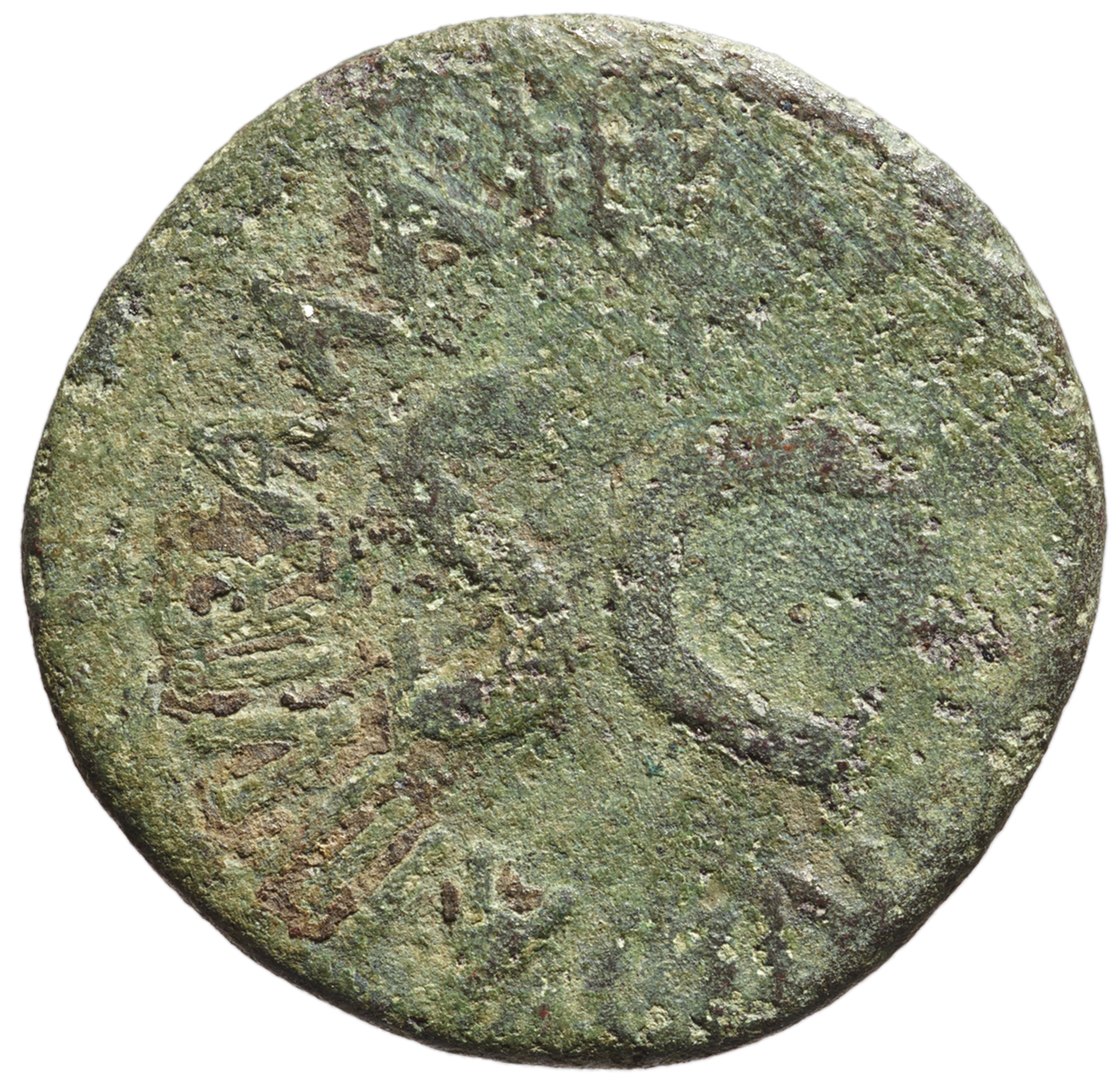 Augustus