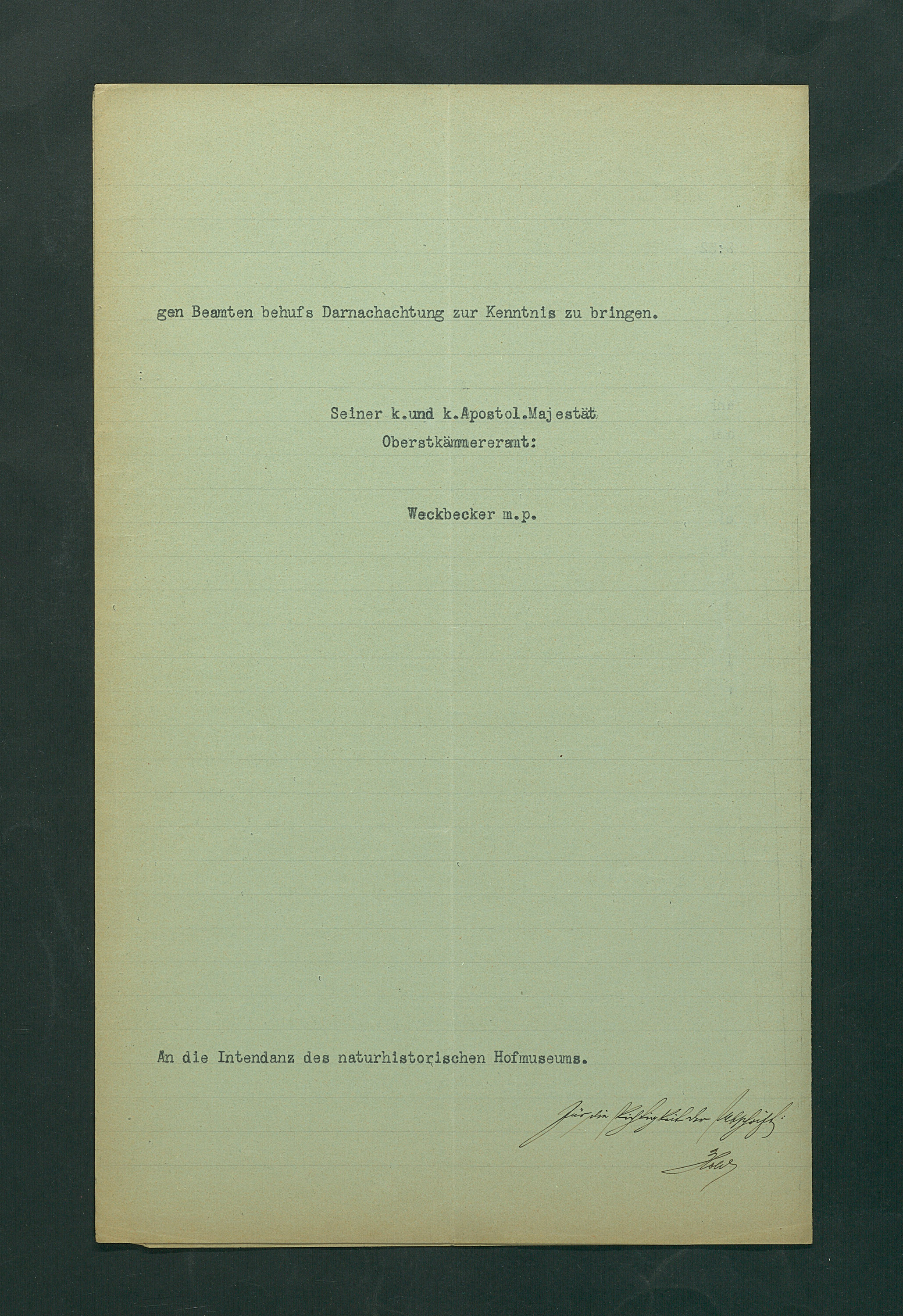 Verhalten bei Delikten und Ordnungswidrigkeiten im Naturhistorischen Museum (Abschrift)