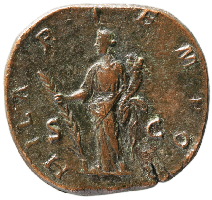 Didia Clara