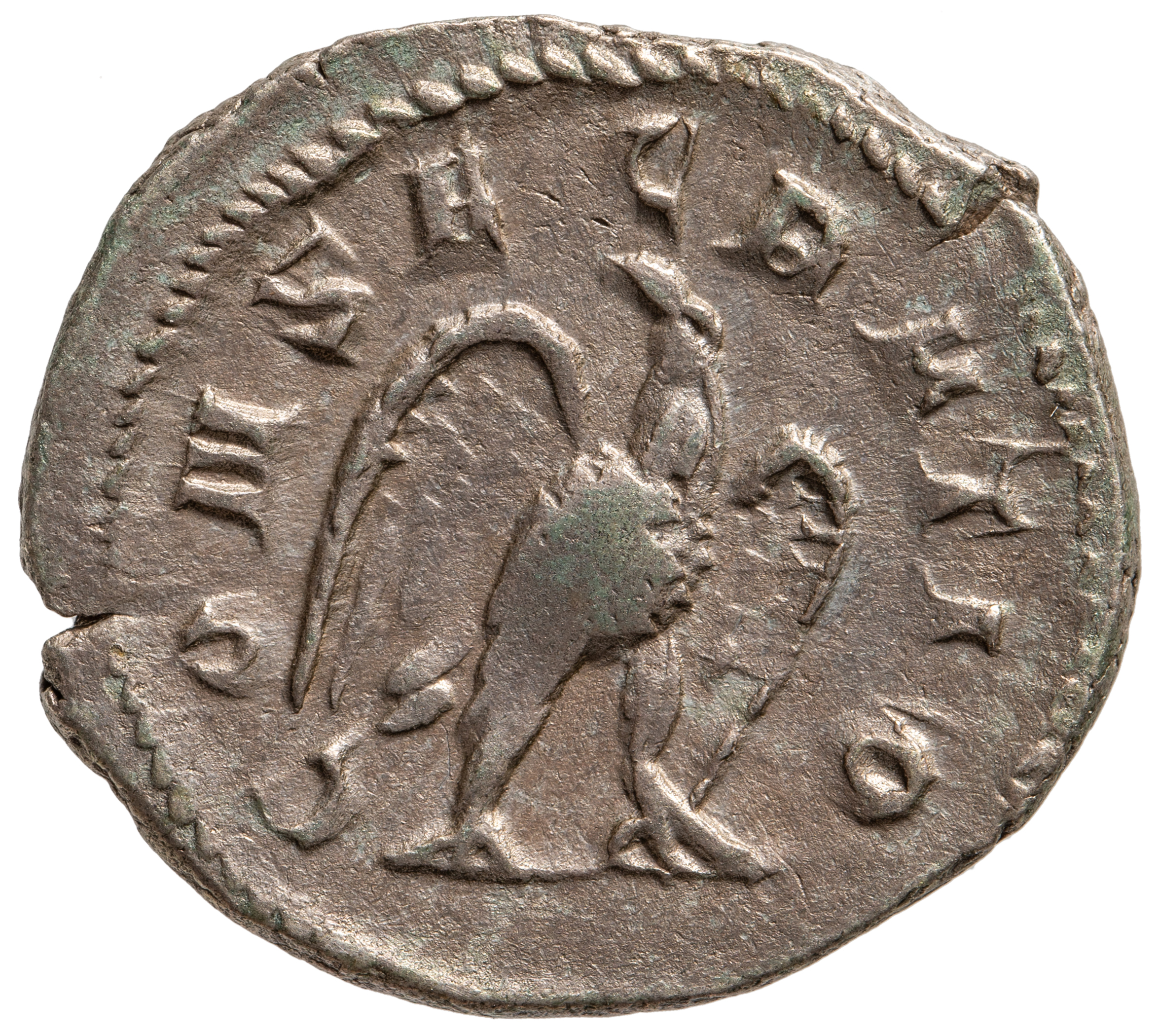 Divus Septimius Severus