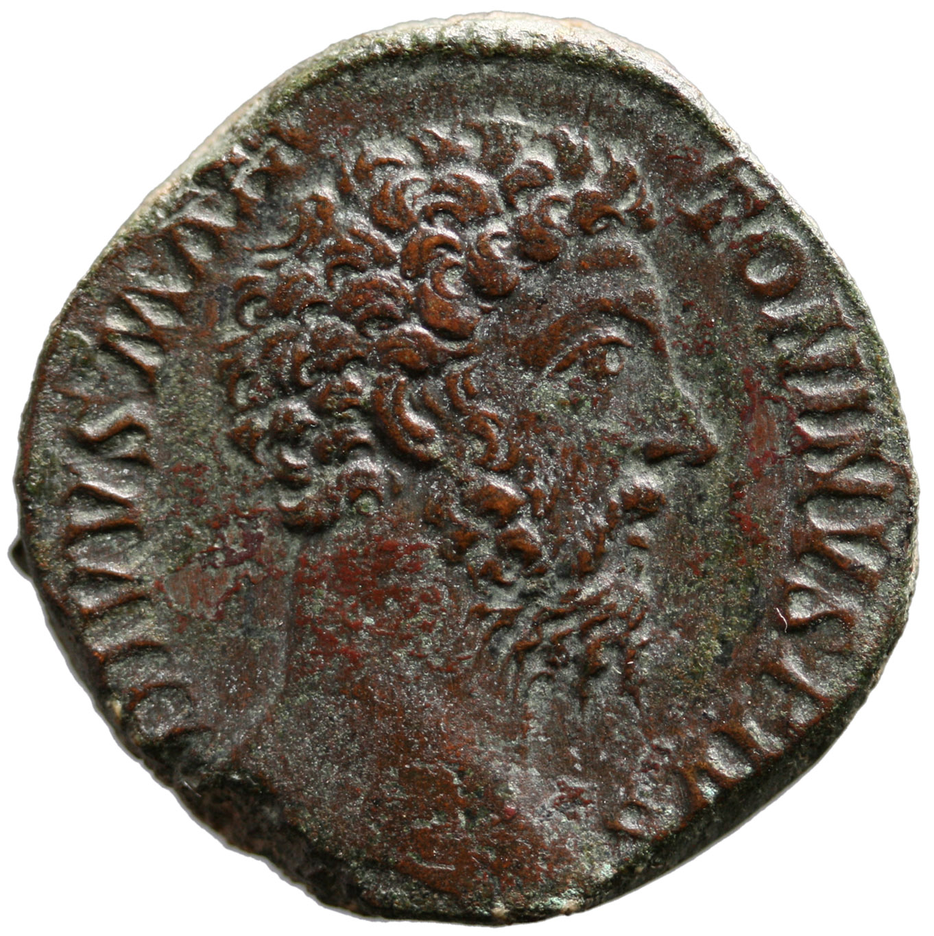 Divus Marcus Aurelius