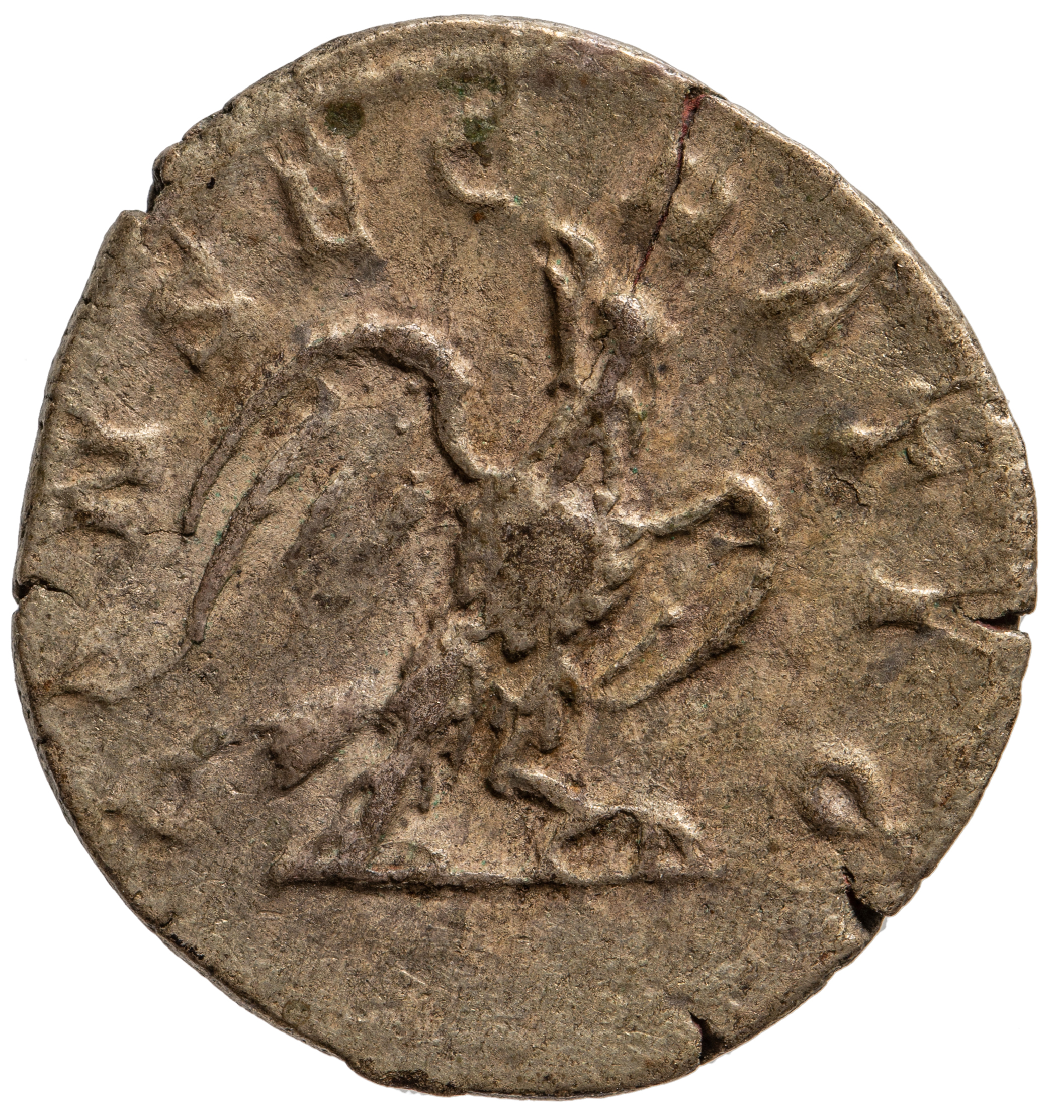 Divus Augustus