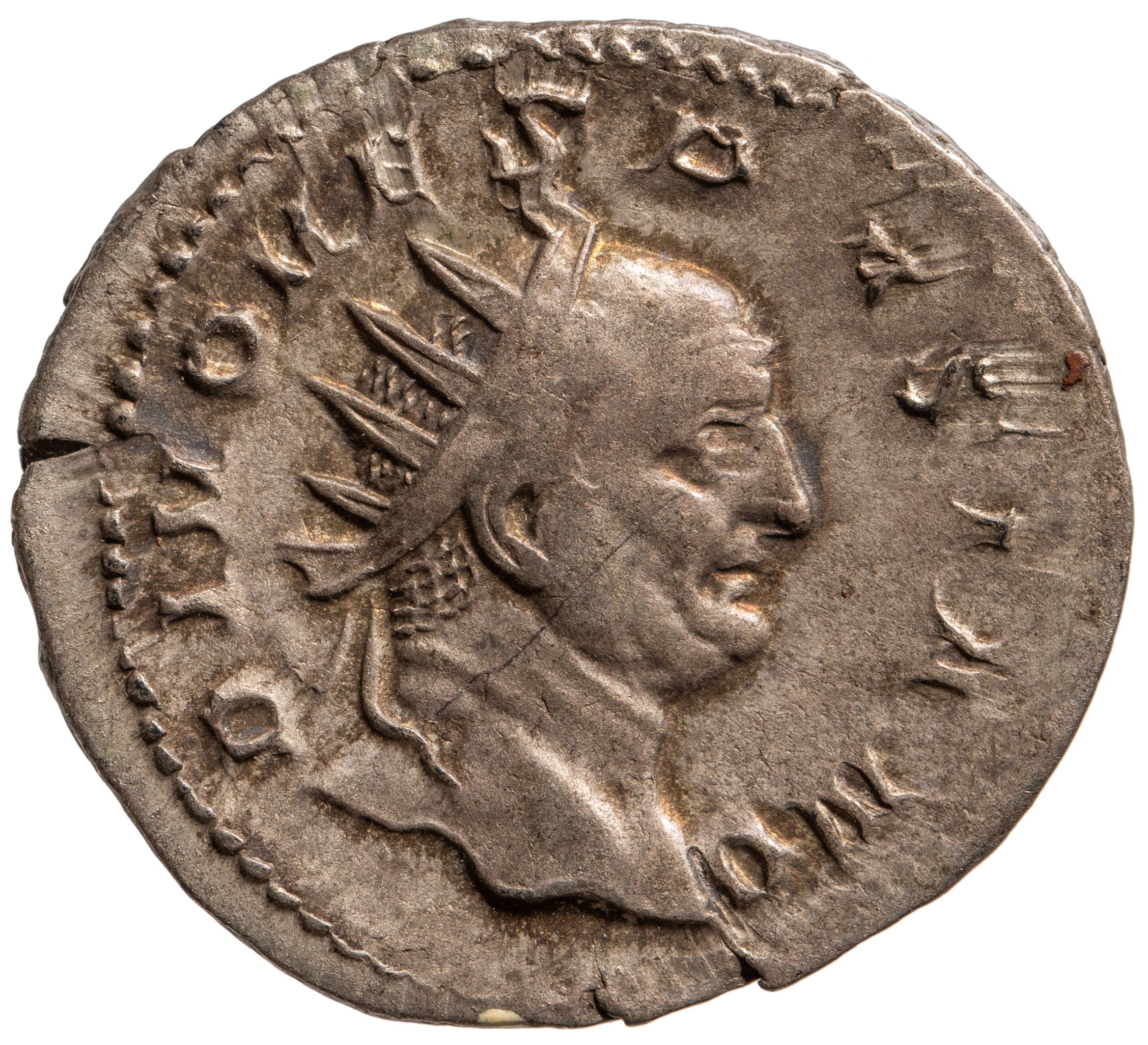 Divus Vespasianus