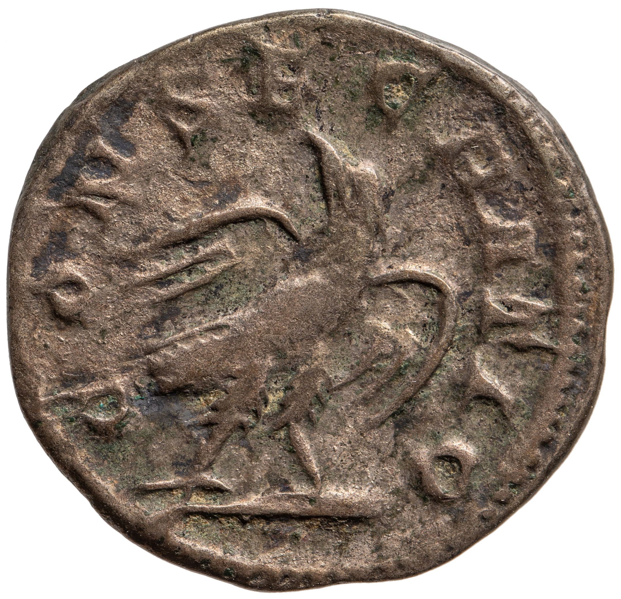 Divus Septimius Severus