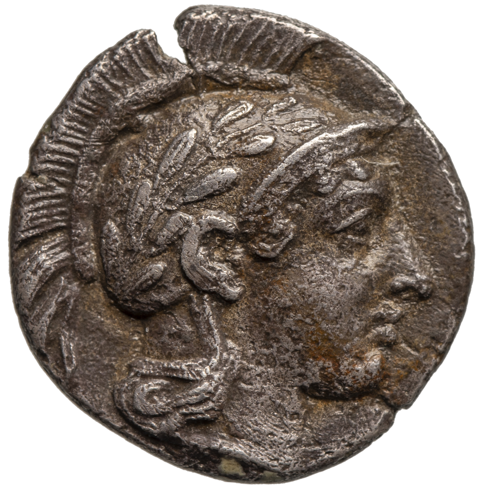 Sybaris