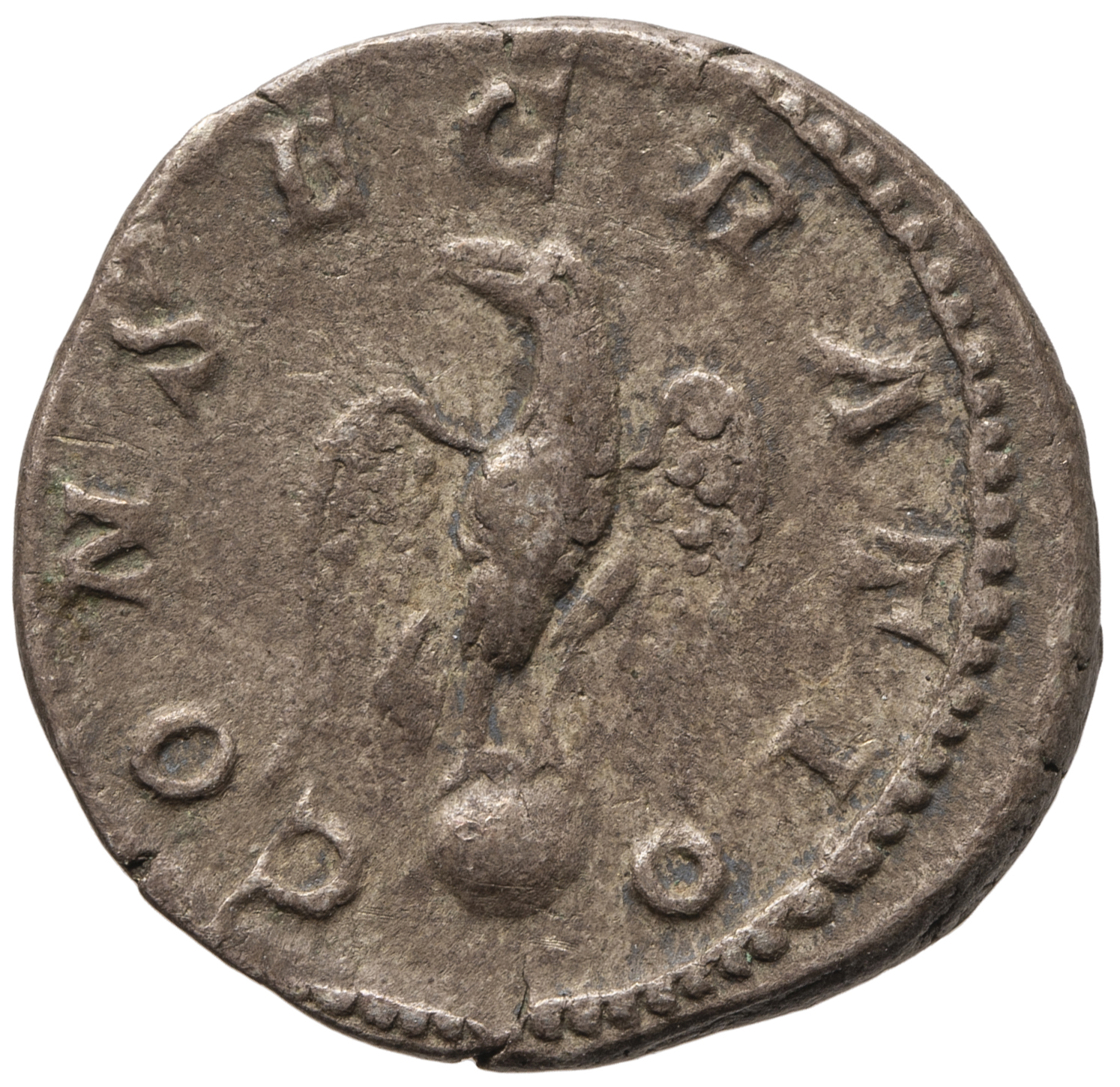 Divus Septimius Severus